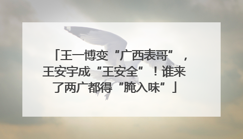 王一博变“广西表哥”，王安宇成“王安全”！谁来了两广都得“腌入味”