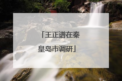 王正谱在秦皇岛市调研