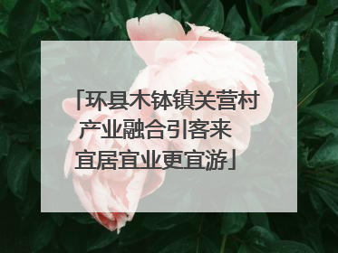 环县木钵镇关营村 产业融合引客来 宜居宜业更宜游