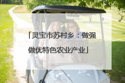 灵宝市苏村乡：做强做优特色农业产业
