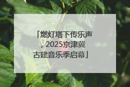 燃灯塔下传乐声，2025京津冀古建音乐季启幕