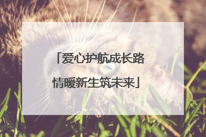 爱心护航成长路 情暖新生筑未来