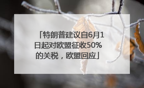 特朗普建议自6月1日起对欧盟征收50%的关税，欧盟回应