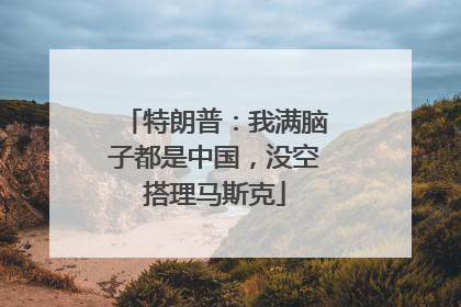 特朗普：我满脑子都是中国，没空搭理马斯克