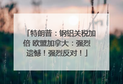 特朗普：钢铝关税加倍 欧盟加拿大：强烈遗憾！强烈反对！