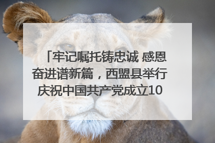 牢记嘱托铸忠诚 感恩奋进谱新篇，西盟县举行庆祝中国共产党成立104周年文艺晚会