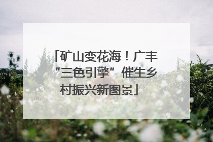 矿山变花海！广丰“三色引擎”催生乡村振兴新图景