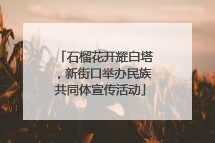 石榴花开耀白塔，新街口举办民族共同体宣传活动