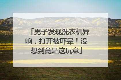 男子发现洗衣机异响，打开被吓晕！没想到竟是这玩意