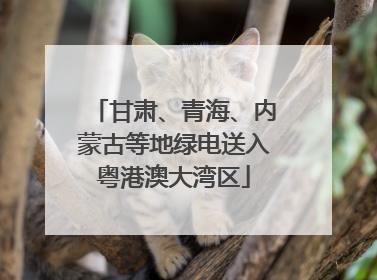 甘肃、青海、内蒙古等地绿电送入粤港澳大湾区