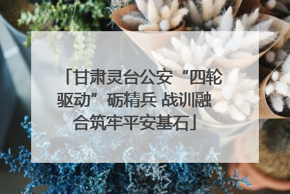 甘肃灵台公安“四轮驱动”砺精兵 战训融合筑牢平安基石