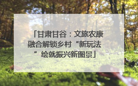 甘肃甘谷：文旅农康融合解锁乡村“新玩法”绘就振兴新图景