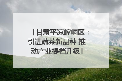 甘肃平凉崆峒区：引进蔬菜新品种 推动产业提档升级