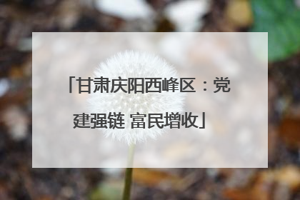 甘肃庆阳西峰区：党建强链 富民增收