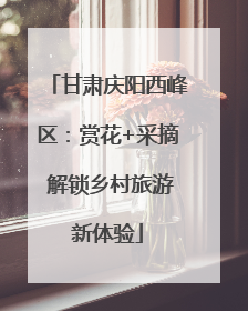 甘肃庆阳西峰区：赏花+采摘 解锁乡村旅游新体验