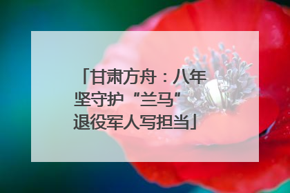 甘肃方舟：八年坚守护“兰马” 退役军人写担当