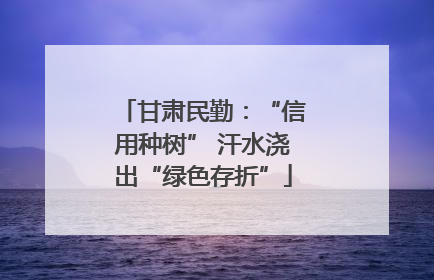 甘肃民勤：“信用种树” 汗水浇出“绿色存折”