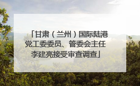 甘肃（兰州）国际陆港党工委委员、管委会主任李建亮接受审查调查