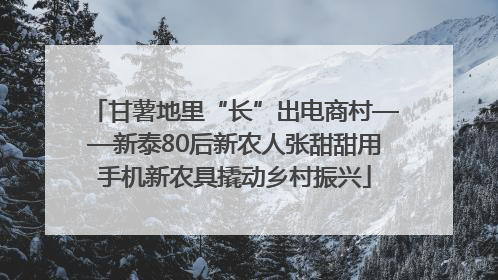 甘薯地里“长”出电商村——新泰80后新农人张甜甜用手机新农具撬动乡村振兴