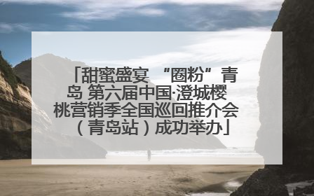 甜蜜盛宴 “圈粉”青岛 第六届中国·澄城樱桃营销季全国巡回推介会（青岛站）成功举办