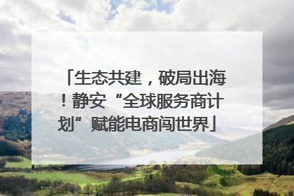 生态共建，破局出海！静安“全球服务商计划”赋能电商闯世界