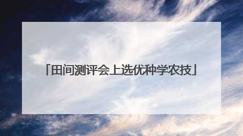 田间测评会上选优种学农技