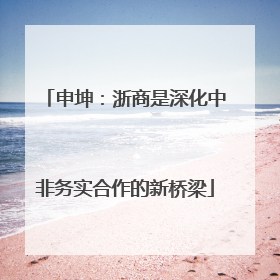 申坤：浙商是深化中非务实合作的新桥梁