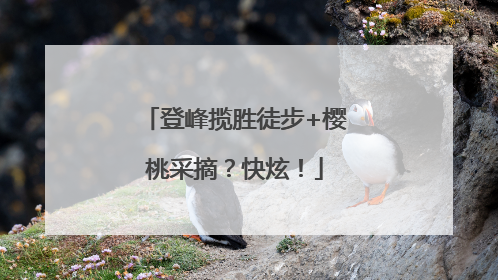 登峰揽胜徒步+樱桃采摘？快炫！