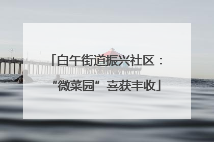 白午街道振兴社区：“微菜园”喜获丰收