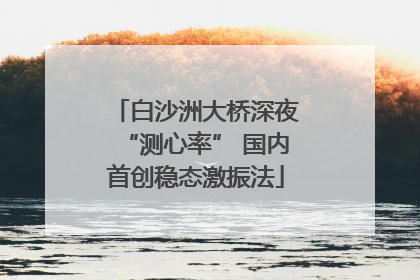 白沙洲大桥深夜“测心率” 国内首创稳态激振法