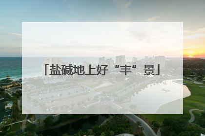 盐碱地上好“丰”景