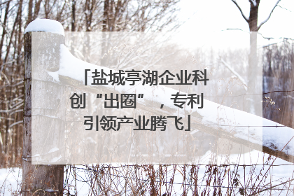 盐城亭湖企业科创“出圈”，专利引领产业腾飞