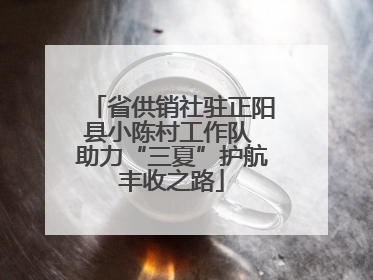 省供销社驻正阳县小陈村工作队 助力“三夏”护航丰收之路
