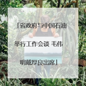 省政府与中国石油举行工作会谈 毛伟明戴厚良出席