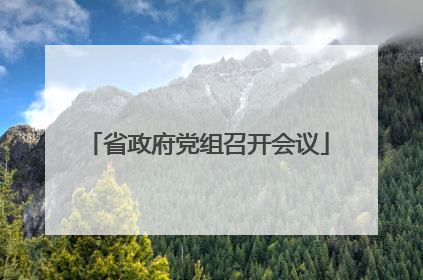 省政府党组召开会议