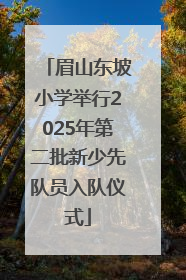 眉山东坡小学举行2025年第二批新少先队员入队仪式