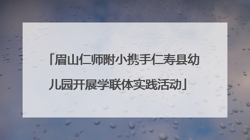 眉山仁师附小携手仁寿县幼儿园开展学联体实践活动