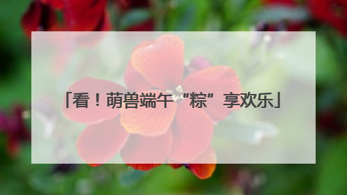 看！萌兽端午“粽”享欢乐
