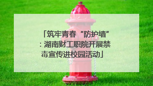 筑牢青春“防护墙”：湖南财工职院开展禁毒宣传进校园活动