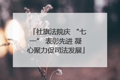 社旗法院庆 “七一” 表彰先进 凝心聚力促司法发展