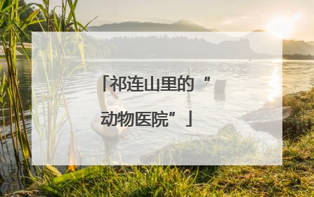 祁连山里的“动物医院”