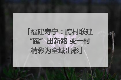 福建寿宁：跨村联建“蹚”出新路 变一村精彩为全域出彩