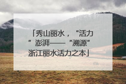 秀山丽水，“活力”澎湃——“溯源”浙江丽水活力之本