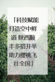 科技赋能打造空中鲜道 陕西顺丰多措并举助力樱桃飞往全国
