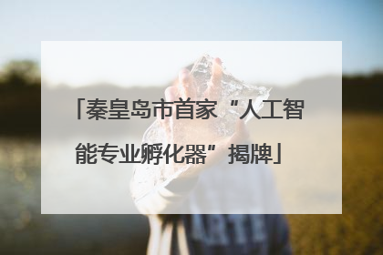 秦皇岛市首家“人工智能专业孵化器”揭牌