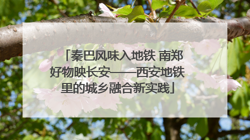 秦巴风味入地铁 南郑好物映长安——西安地铁里的城乡融合新实践