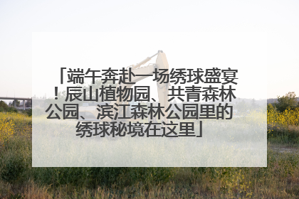 端午奔赴一场绣球盛宴！辰山植物园、共青森林公园、滨江森林公园里的绣球秘境在这里