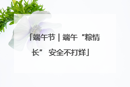 端午节｜端午“粽情长” 安全不打烊