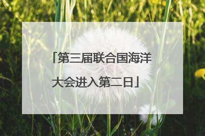 第三届联合国海洋大会进入第二日