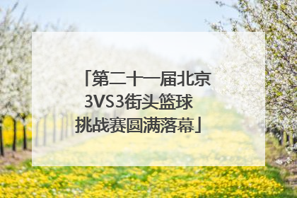 第二十一届北京3VS3街头篮球挑战赛圆满落幕